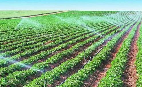 在线操屄农田高 效节水灌溉